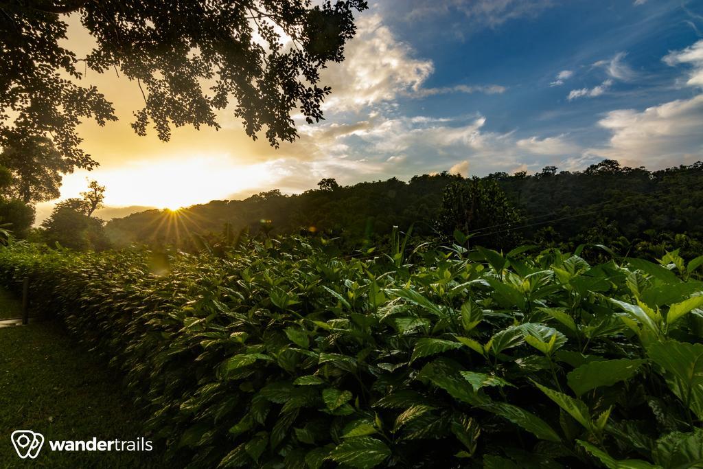 Whispering Willows Gudalur  Dış mekan fotoğraf